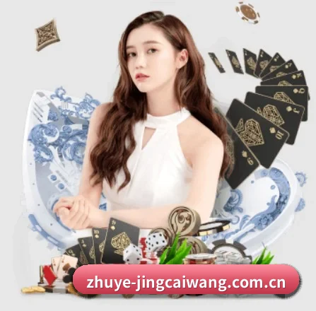规模扩大 - 市场覆盖范围大幅扩大,合作品牌阵容持续壮大,用户基数稳步增长。